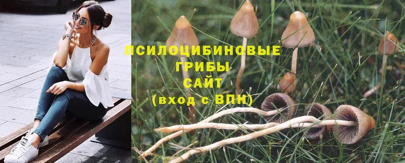 Псилоцибиновые грибы Magic Shrooms  hydra ТОР  Наро-Фоминск 